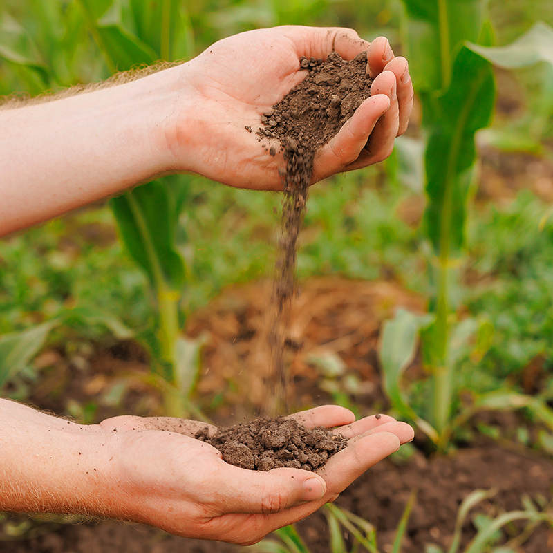 Compound fertilizer